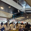 거북이 엔터테이먼트 | [몰디브 여행] 말레이시아항공 타고 몰디브 후기