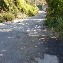 동구목장 이미지