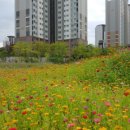 명성초등학교내 이미지