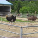 용암마을회관 이미지