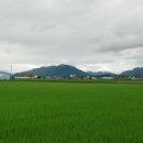 장흥 2리 이미지