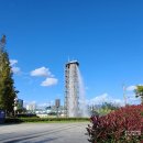 호수공원로(남) | [부산] : 혼여 혼밥 좋아 ! 부산시민공원과 초량밀면 (부산진구/부산동구)