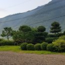 솔내음과 물소리 이미지