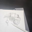 드로잉부터 어반스케치까지 이미지