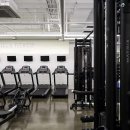 고릴라 짐 이미지