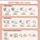 코코호도구리 이미지