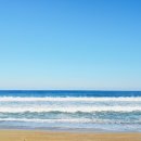 태엽농장 이미지