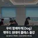 울산 펫푸드 교육 / 강아지 수제 간식 원데이클래스...가족사업 "우리함께하개(Dog)" 기관 출강 후기