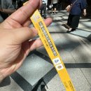연세자연유치원 | 2025 서울국제유아교육전(코엑스 유교전 7/10~13) 후기