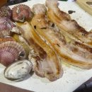 해그라미 이미지