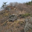 명성화원 이미지