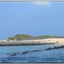 제주 토끼섬 문주란자생지 | 제주관광 토끼섬(문주란 자생지) 조그마한 제주의 섬.