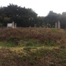 정정옹주 묘 이미지