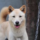 국희