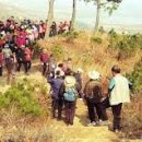 역사문화체험지도사 이미지