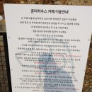 푼타하우스 | [하남애견카페]푼타하우스 내돈내산후기/하남애견야외운동장 (라볶이&amp;불고기피자&amp;딸기요거트&amp;라떼)