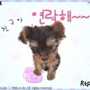 월 - 천안시 동남구 청수11로 24 | 월