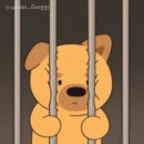 제주시동문재래시장 이미지