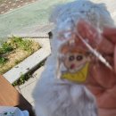 GS25 안중대로점 이미지