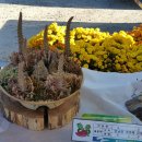 원남면 주민자치센터 이미지