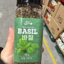 가든 쇼핑하우