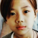 어도러블 이미지