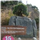 상수농장 Daum카페
