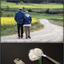 사계절한의원 이미지