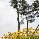 바다전망대 이미지