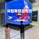 국립해양박물관 | 경북 울진 아이랑 가볼만한 곳 국립해양과학관 박물관 후기!