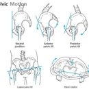 어퍼모스트 이미지