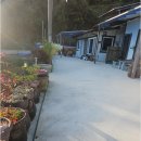 화태민박 이미지