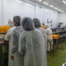 금만농업협동조합 미곡처리장 이미지