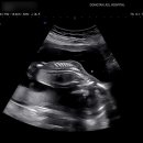 마이더스산부인과의원 이미지