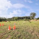 애견부티크 이미지