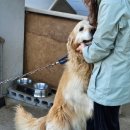 별통천문대펜션 이미지