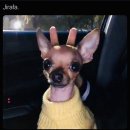 와와에베레스트 | 3월의 틈