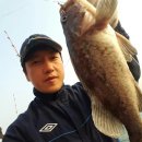 태룡관합기도본오 이미지