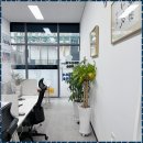 법대로 법무사 행정사 사무소 이미지