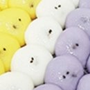 청학로68번길1 이미지