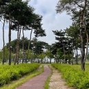 내포 시민2공원 네이버블로그
