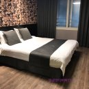 오케이콘도 이미지