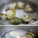 백합 이미지