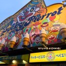 삐에로 - 동구 동북로 432 | 하코다테 럭키 삐에로, 차이니즈 치킨버거와 아이스크림 후기