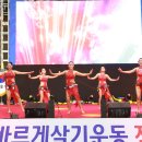 밸리댄스 Daum카페