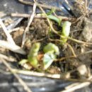 오대산별장 이미지