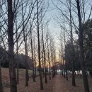 웅천동 1894(포레나여수웅천1단지, 2단지 사이 도로) | [ 여수 / 웅천동 /해변공원 ] 걸어서 웅천 한바퀴