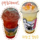 매머드커피 장교빌딩점 | 신메뉴 수박화채에이드 자망코컵빙수 가격 칼로리, 매머드커피 프리퀀시 이벤트, 몰티즈 리트리버 콜라보