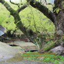 용오름농촌체험휴양마을 이미지