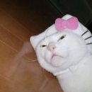 쁘다